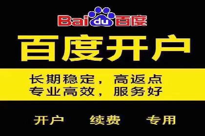 百度推广排名大揭秘：某电商平台的成功之路